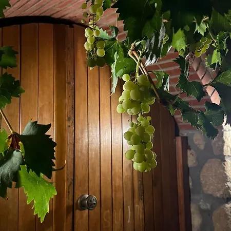 Epavlis Meteora Kalambaka