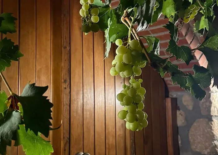 Epavlis Meteora Kalambaka